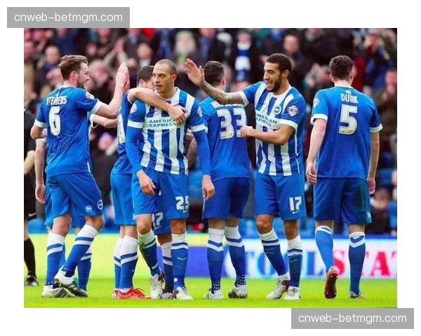 传闻：霍芬海姆边锋拜尔与英超布莱顿就夏季转会达成初步个人条款