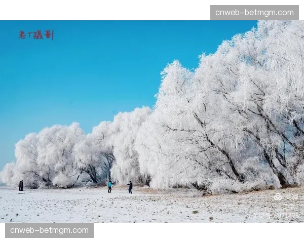 深度调查:北方俱乐部冬季训练基地选择与海外拉练效果评估