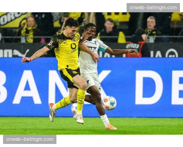 霍芬海姆vs多特蒙德：主队为欧战席位而战，客队争冠希望渺茫